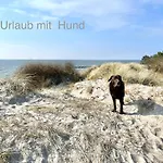 Beatrice 12 In * Binz