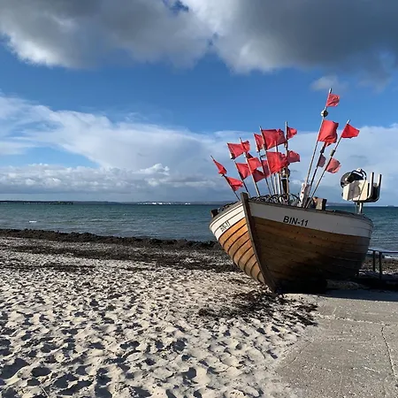 Beatrice 12 In * Binz