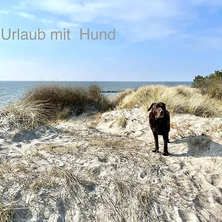 Beatrice 12 In * Binz